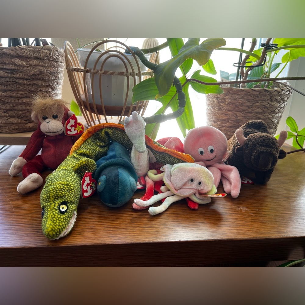 Beanie Baby Lot